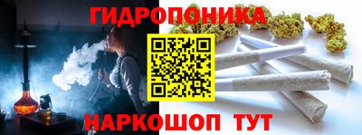 индика Беслан