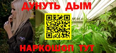 индика Беслан