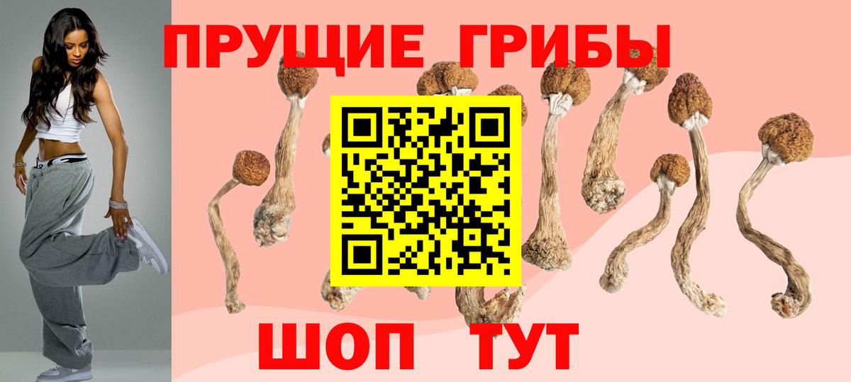 Галлюциногенные грибы ЛСД  закладки  Берёзовский  Галлюциногенные грибы Cubensis  Вход с VPN 